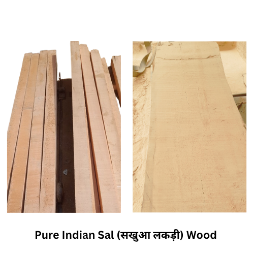 Bharat Dawaar Premium सखुआ Wood